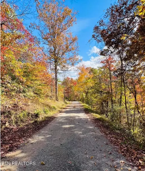 Knotty Pine Lane, Duff, TN 37729 photo 19