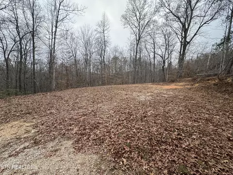 Knotty Pine Lane, Duff, TN 37729 photo 7