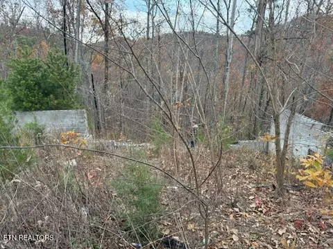 2333 Panther Way, Sevierville, TN 37876