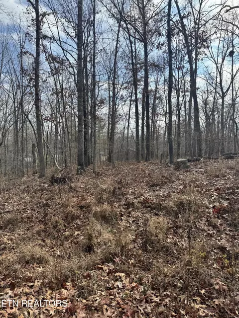 Peachtree Drive, Crossville, TN 38555