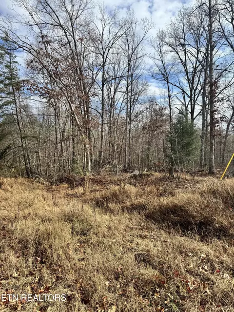 Peachtree Drive, Crossville, TN 38555