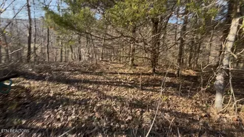 Cross Valley Rd, La Follette, TN 37766