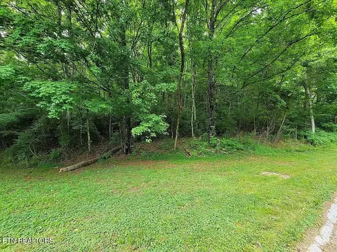 Wealdwood Drive, Clinton, TN 37716