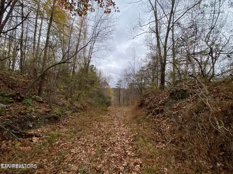 0 Paint Rock Rd, Oneida, TN 37841
