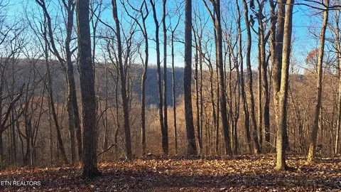 568 Cumberland Cove Rd, Monterey, TN 38574