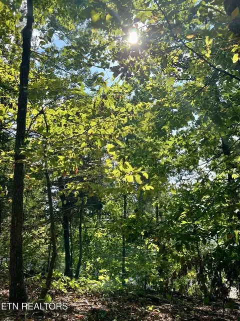 Lakefront Place, Baneberry, TN 37890