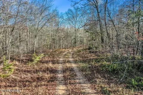 Nashville Ave, Deer Lodge, TN 37726