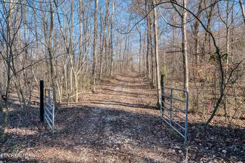 54 88 Ac Nelson Ln, Rickman, TN 38580