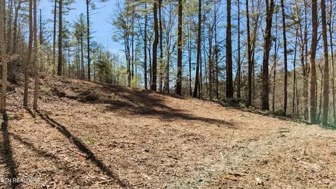 Carrs Creek 14 Acres Rd, Townsend, TN 37882