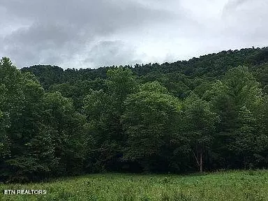 Stanley Creek Rd, Oneida, TN 37841
