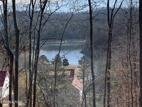 Mountain Shores Rd, New Tazewell, TN 37825