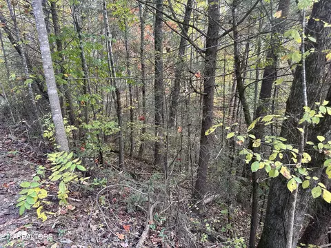 1781 Rich Mtn Way, Sevierville, TN 37876