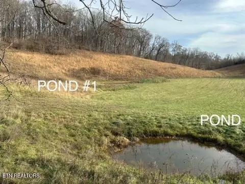 Frog Level Rd, Harrogate, TN 37752 photo 5