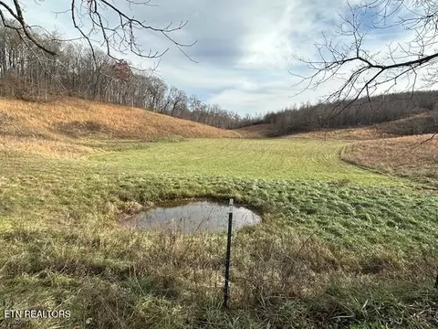 Frog Level Rd, Harrogate, TN 37752 photo 4