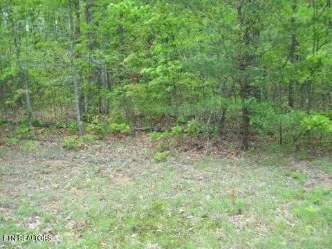 Leistner Drive, Monterey, TN 38574