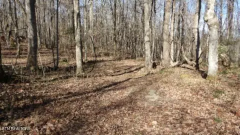 159 23ac Old Stephens Rd, Jamestown, TN 38556
