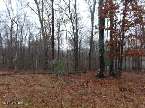 4000 Saponac Dr, Crossville, TN 38572