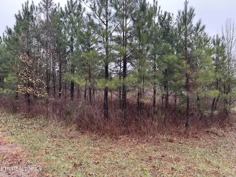 Hitchin Post Drive, Jamestown, TN 38556