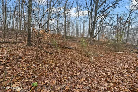 114 Loop Rd, Powell, TN 37849 photo 35