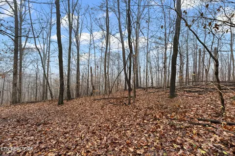 114 Loop Rd, Powell, TN 37849 photo 34