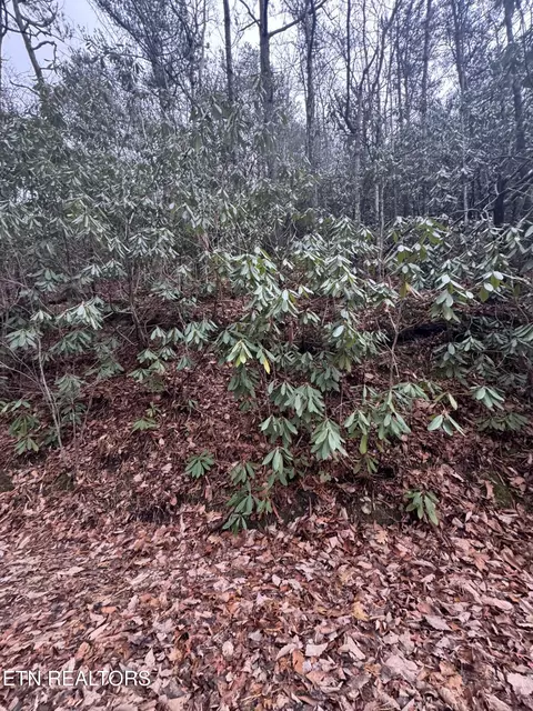 lot14 John Sevier Dr, Sevierville, TN 37876