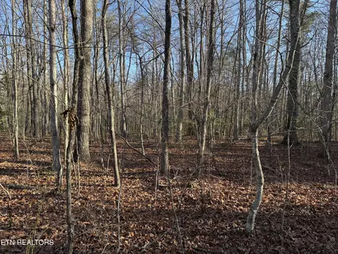 indian park rd, Monterey, TN 38574