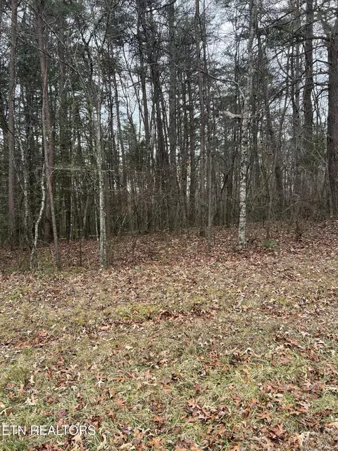 Cliff Park, Monterey, TN 38574