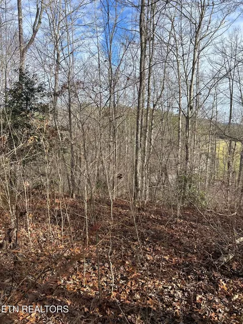 Vanwinkle Cemetery Rd, Crossville, TN 38572