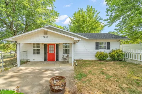 7701 Clapps Chapel Rd, Corryton, TN 37721 photo 38