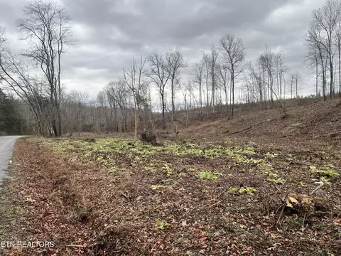 lot2 Arwine Rd, Decatur, TN 37322