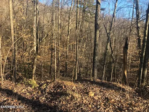 lot68 Yellowwood Dr, Sevierville, TN 37876