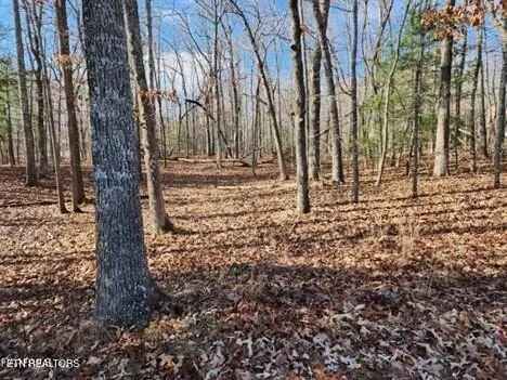 148 Ivy Brook Ln, Fairfield Glade, TN 38558