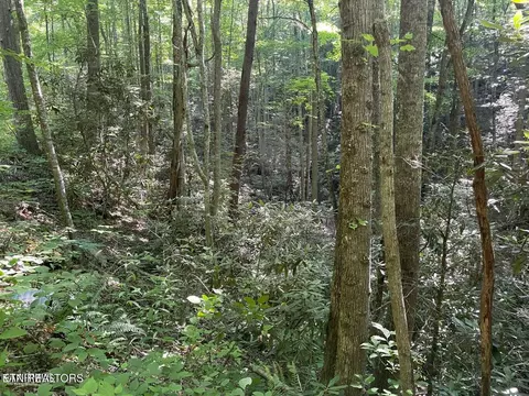 lot76 Sycamore St, Sevierville, TN 37876