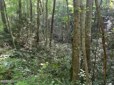 lot76 Sycamore St, Sevierville, TN 37876