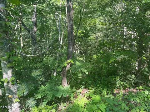 lot69 Sycamore St, Sevierville, TN 37876