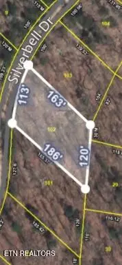 lot102 Silverbell Dr, Sevierville, TN 37876