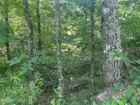 lot71 Hazelnut Ln, Sevierville, TN 37876