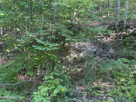 lot22 Elderberry Dr, Sevierville, TN 37876