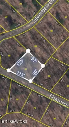 lot87 Shamrock Pl, Sevierville, TN 37876