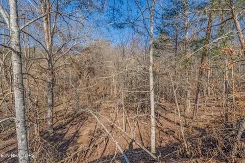 509 Smokey Rd, Rutledge, TN 37861