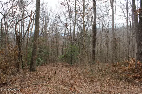 Carol Drive, Jamestown, TN 38556