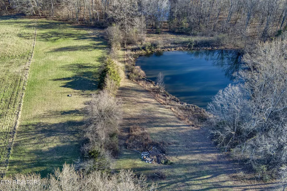 View/Area - 614 Henry Ln, Greenback, TN 37742 photo 5 of 10