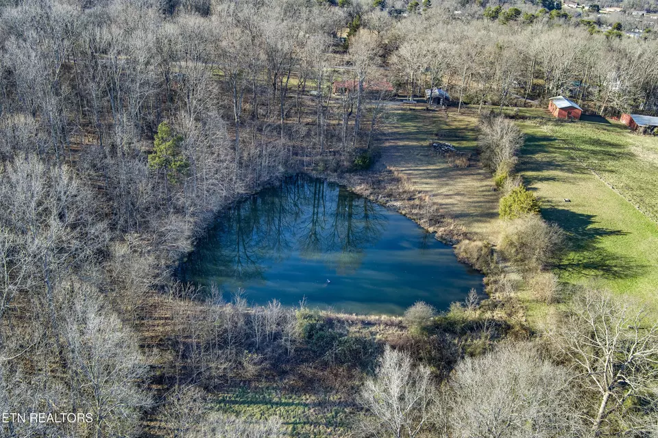 View/Area - 614 Henry Ln, Greenback, TN 37742 photo 4 of 10