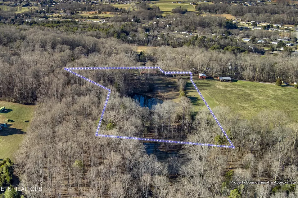 View/Area - 614 Henry Ln, Greenback, TN 37742 photo 6 of 10