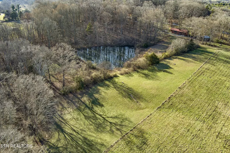 Other - 614 Henry Ln, Greenback, TN 37742 photo 14 of 14