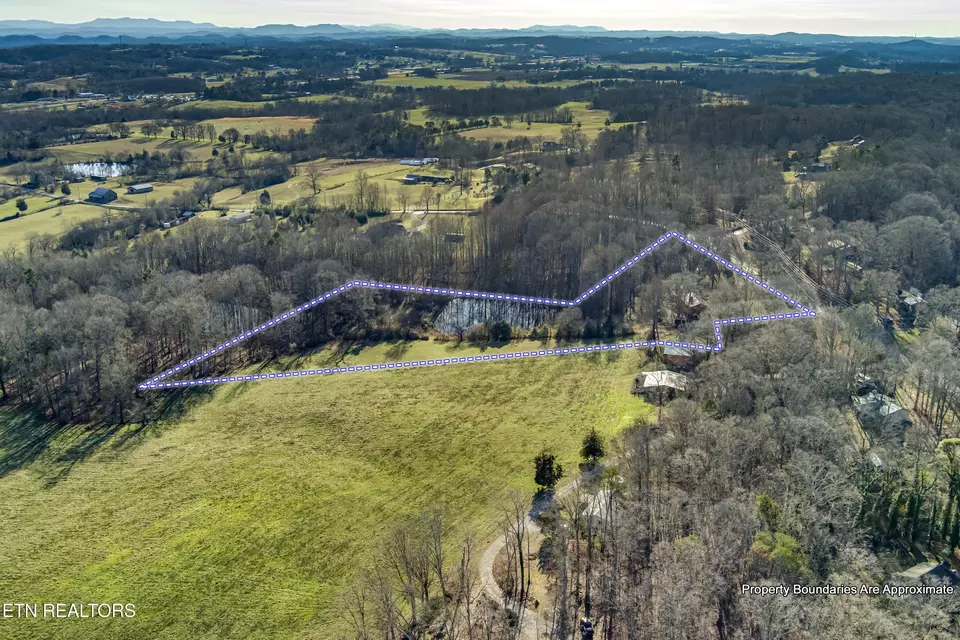 View/Area - 614 Henry Ln, Greenback, TN 37742 photo 7 of 10