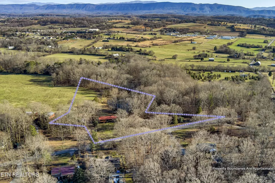 View/Area - 614 Henry Ln, Greenback, TN 37742 photo 8 of 10