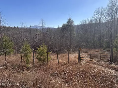 162 45ac Mill Creek Rd, Sunbright, TN 37872