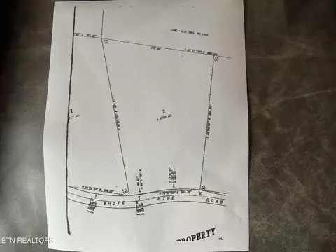 Tract 2 N White Pine Rd, White Pine, TN 37890