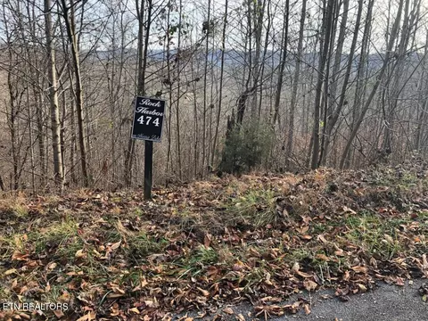 silver tr LOT 474, New Tazewell, TN 37825
